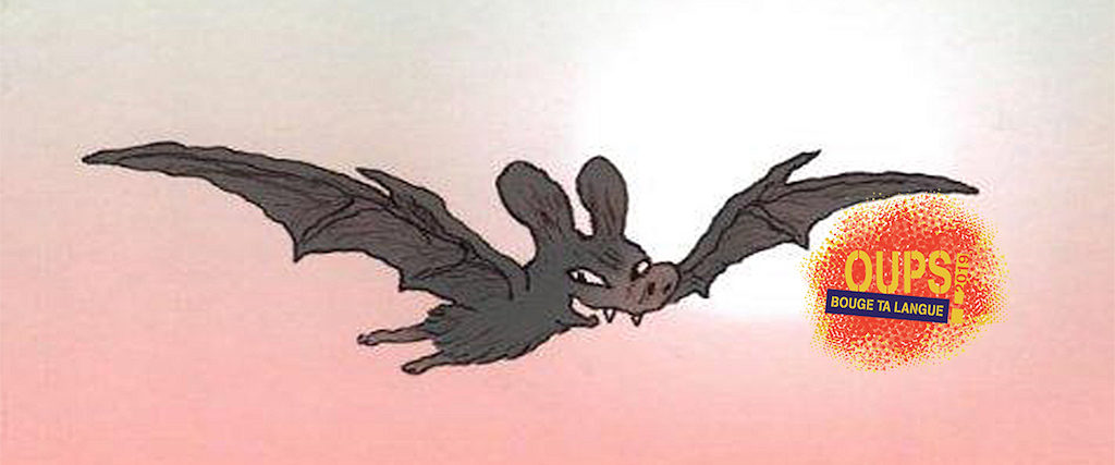 Sauve-souris ! – Médiathèque de Villepinte